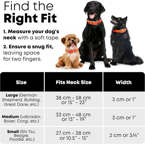 Miniatura 8 de Collar impermeable para perro con anillo central resistente Collar para perros pequeños, medianos, grandes o XL, Anaranjado