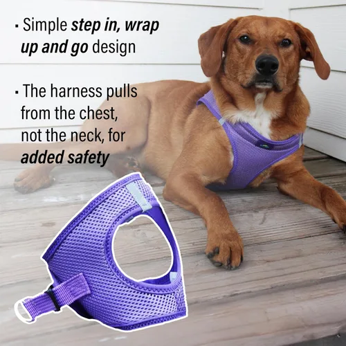Miniatura 4 de Doggie Design Arnés para perro – Arnés sin estrangulamiento para mascotas, chaleco para perro, malla de poliéster, diseño simple, chaleco