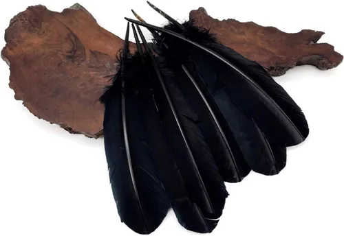 Miniatura 4 de Moonlight Feather 200 piezas - plumas de pavo - pavo negro ala redonda pluma grande al por mayor plumas a granel Halloween, artesanía india, boda