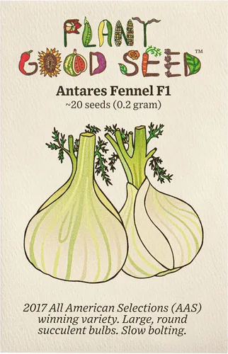 Plant Good Seed Semillas de hinojo orgánicas Antares F1, paquete de 20, semillas tradicionales para plantar hierbas, suministros de jardinería,