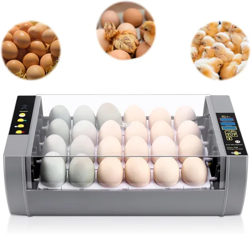 Gpeng Incubadora de huevos, incubadora de 24 huevos con pantalla digital, giro automático de huevos, control automático de temperatura, para incubar