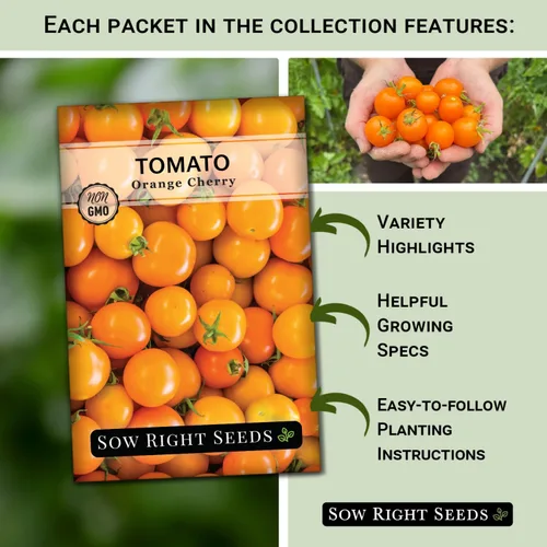 Miniatura 2 de Sow Right Seeds - Colección de semillas de tomate amarillo y naranja para plantar - Brandywine, Jubilee, Kellog's Breakfast, pera amarilla y cereza