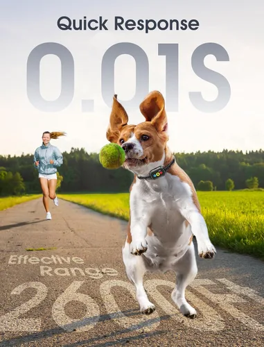 Miniatura 4 de Collar de entrenamiento para perros con control remoto, collar inteligente de choque para perros con 3 modos de entrenamiento e iconos