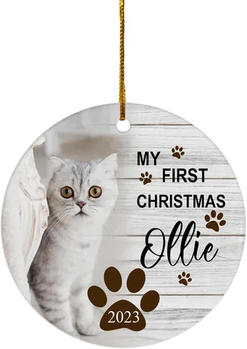 FLOCHIL Adornos de Navidad Personalizados para Gatos Adornos de Navidad Personalizados con Foto y Nombre para Árboles de Navidad, Adornos de Navidad