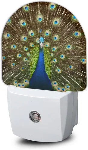 El pavo real abre la luz nocturna, luces nocturnas se enchufan a la pared del hogar, escalera interior, pasillo de cocina, niños, niñas, mujeres,