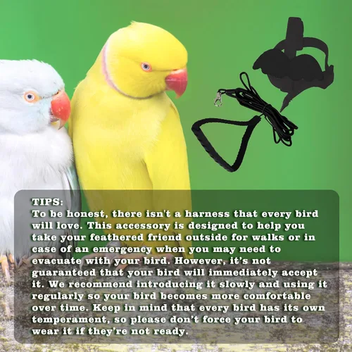 Miniatura 5 de Correas y arneses ajustables para pájaros, arnés de nailon para pájaros con bonito ala para loros, accesorios para pájaros para mascotas, correa