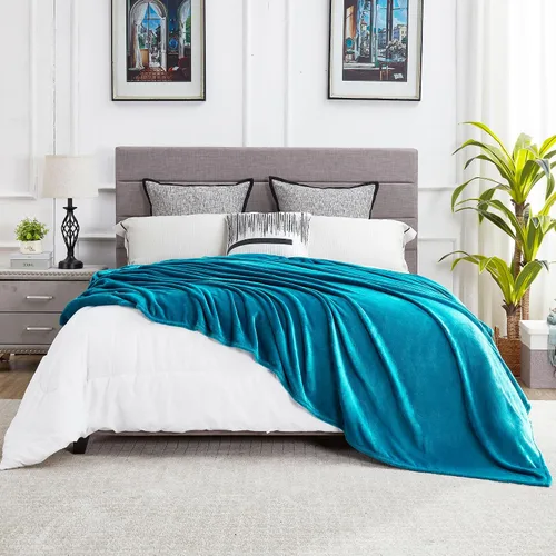 Miniatura 17 de Dreamnine Manta extrasuave, vellón de felpa, silla, sofá, 50 x 60 pulgadas, franela de terciopelo, ligera, mullida, microfelpa, decorativa, cálida