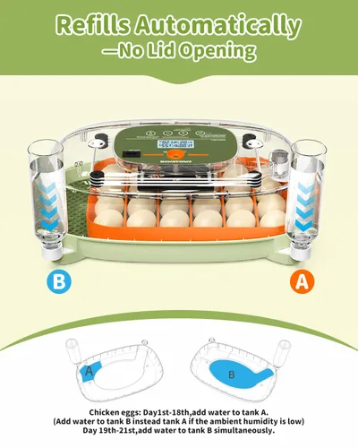 Miniatura 5 de Incubadora de huevos para 24 huevos de pollo con volteador automático, control digital de temperatura y pantalla de humedad, ovoscopio, incubadora
