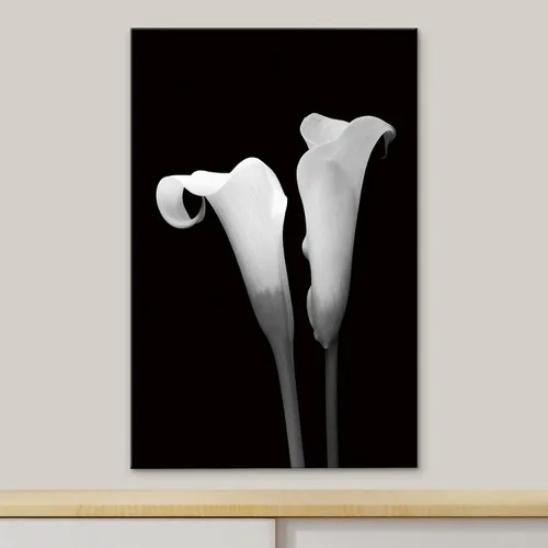 Miniatura 3 de NWT Lienzo impreso para pared, diseño de lirio de cala, dúo de plantas florales, fotografía, arte moderno, glamour, primer plano, dramático, blanco