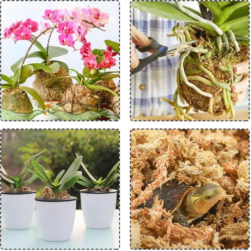 Miniatura 6 de Halatool Musgo Sphagnum de Orquídea de 10 OZ para trasplantar, Musgo Sphagnum Seco de 14 QT para Plantas de Interior, Mantiene la Humedad del Aire