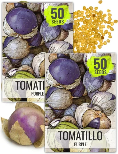 Miniatura 16 de Seed Needs Semillas de tomatillo para plantar tomatillos Grande Rio Verde, reliquia sin OMG y sin tratar, cultiva un huerto al aire libre cultivado
