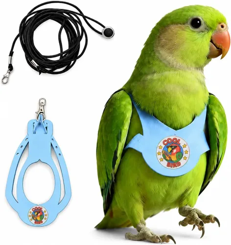 Miniatura 16 de Juego de arnés ajustable y correa para pájaros pequeños, apto para periquitos, conures, cacatúas, mejillas verdes, loros cuáqueros (verde, XS) 6350-6