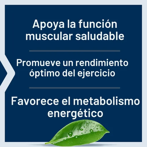 Miniatura 4 de Life Extension Cápsulas de creatina, monohidrato de creatina, promueve la fuerza, músculo magro, resistencia saludable, sin OMG, sin gluten, 120