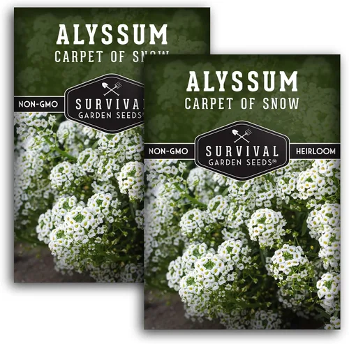 Miniatura 11 de White Alyssum Seeds for Planting - Semillas de jardín de supervivencia (paquete de 1) Variedad Sweet Carpet of Snow - Flores perennes fragantes