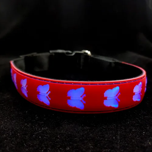 Miniatura 3 de Collar Super Dog para Perros (1, 1)