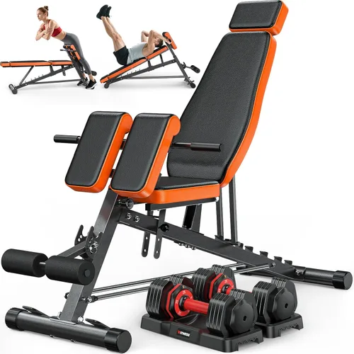 Miniatura 8 de XDDIAS Silla romana, máquina de extensión de respaldo de banco de peso ajustable para gimnasio en casa, banco todo en uno de 1000 libras con estante