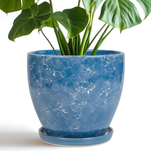Miniatura 41 de Maceta para Plantas de 6.8 Pulgadas - Maceta de Cerámica con Orificio de Drenaje y Platillo, Maceta Redonda Moderna para Flores, Macetas