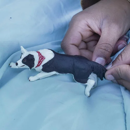 Miniatura 7 de Safari Ltd. Figura de Border Collie – Figura detallada de plástico de 5 pulgadas – Divertido juguete educativo para niños, niñas y niños a partir