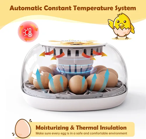 Miniatura 2 de Incubadora de huevos para incubar pollitos, girador automático de huevos con capacidad para 12 huevos, incubadora inteligente con ventana