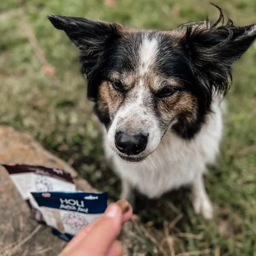 Miniatura 8 de HOLI Elk & Venison - Golosinas liofilizadas para perros, totalmente naturales y capturadas en la naturaleza, fortificadas con vitaminas y minerales