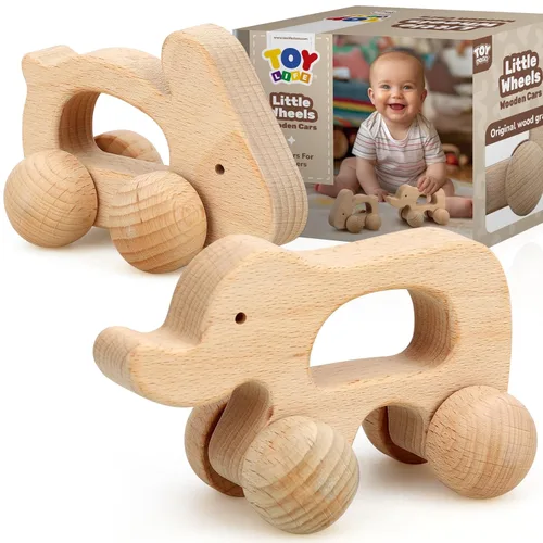 TOY Life Juguetes de madera, juguetes Montessori para bebés de 6 a 12 meses, juguetes de madera para bebés de 1 a 3 años, decoración del cuarto del