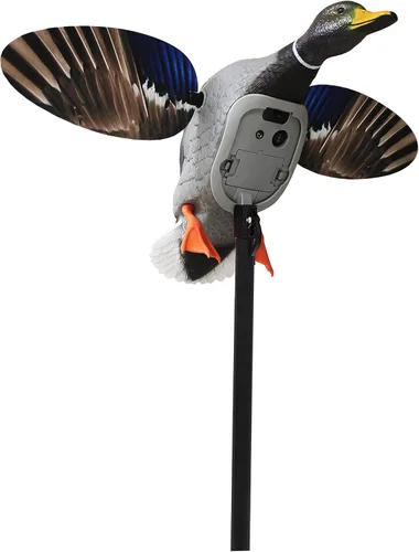 Miniatura 14 de MOJO Outdoors - Premium Waterfowl and Duck Hunting Decoys
