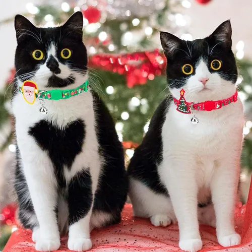 Miniatura 6 de PUPTECK Collar de gato con campanas, collar de gatito ajustable para niñas y niños pequeños, cachorro, conejito, bonito accesorio de disfraz