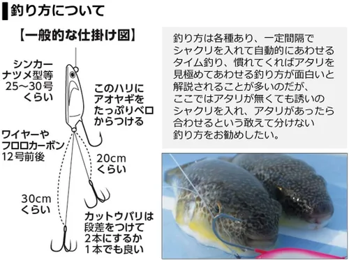 Miniatura 4 de Daiwa Cut Ofugu X H-150/R - Caña de pescar