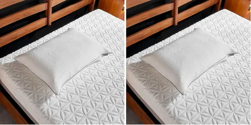 Tempur-Pedic TEMPUR-Protect - Protector de almohada, tamaño Queen, 28.5 x 20 pulgadas, color blanco (paquete de 2)
