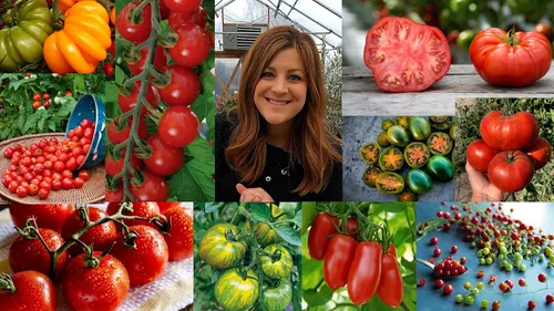 Miniatura 7 de Espoma ¡Tomate concentrado orgánico de 8 onzas! Alimento vegetal - Fertilizante vegetal para todo tipo de tomates y otras verduras. Para jardinería