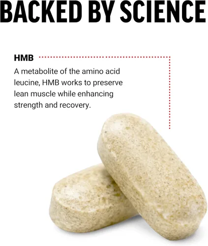 Miniatura 5 de FORCE FACTOR Suplemento HMB para preservar el músculo magro, apoyar la recuperación del entrenamiento y prevenir la descomposición de proteínas