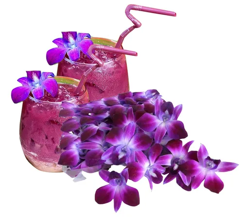 Miniatura 12 de Miami Fresh Orchid Flower OrchidClub USA Sunne Tropical Cabeza de floración suelta DIY Lei comida bebida decoración púrpura (2 x 50 púrpura)