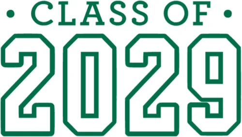 Miniatura 32 de Class of 2029 Iron On Decal, Senior Class Shirt Patch, Heat Transfer, HTV Graphic Tshirt Sticker, DIY Crafts, Pick Size Color, Iron-On Almost Old
