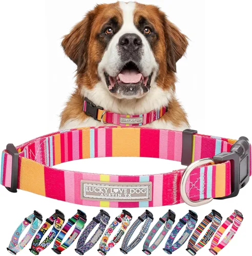 Miniatura 76 de Lucky Love Dog - Collar para perras pequeñas, diseño Blackbird de estampado alegre con flores de primavera y verano, talla XS