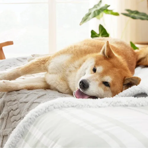 Miniatura 5 de Bedsure - Mantas impermeables para perros grandes - Manta para mascotas para protector de sofá lavable, manta de forro polar de coral jacquard