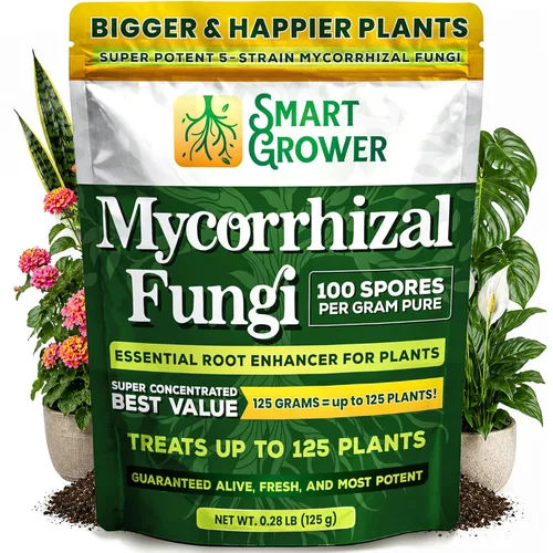 Potenciador de raíces de hongos micorrízicos orgánicos para plantas, súper potente 100 esporas por gramo, mezcla de 5 cepas, resultados rápidos para