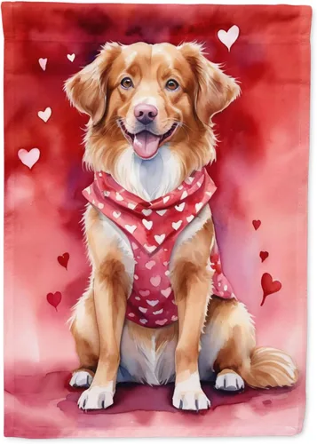 Miniatura 17 de Caroline's Treasures DAC5292CHF - Bandera de Border Collie My Valentine House para porche, grande, con manga para porche, para colgar en la pared