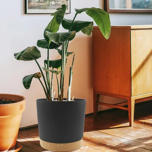 Miniatura 5 de QCQHDU Maceta de 10 pulgadas, paquete de 2 macetas para plantas de interior con agujeros de drenaje y platillo, macetas para exteriores, decoración
