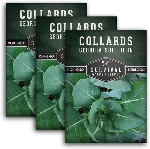 Miniatura 11 de Semillas verdes de col para plantar Variedad de Georgia Southern Heirloom sin OMG Verdes de hoja verde para huertos domésticos – Semillas