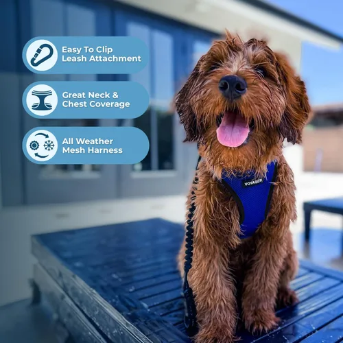 Miniatura 100 de Best Pet Supplies Voyager Step-in Air Arnés – Malla para todo clima, reflectante, arnés antitirones para perros y gatos, seguro con cierre de gancho
