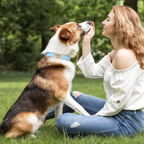 Miniatura 2 de Collares para perros personalizados de PET ARTIST, collar para perro grabado personalizado con etiqueta de nombre silenciosa, hebilla de liberación