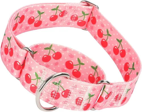 Miniatura 9 de Collar Martingale para Perro de 1.5 Pulgadas de Ancho - Diseño de Calavera Extra Resistente para Perros Grandes, Collar de Entrenamiento Ajustable