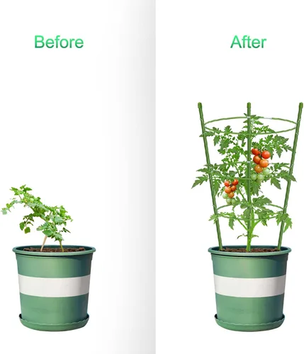 Miniatura 2 de Jaula de tomate con soporte para plantas de jardín, enrejado mejorado para plantas trepadoras, kits de enrejado para plantas (paquete de 2 - 18)