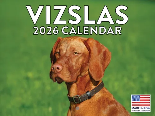 Miniatura 139 de Calendario de pared mensual 2025 Great Dane de 12 meses, fabricado en Estados Unidos