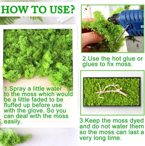 Miniatura 6 de Musgo preservado para manualidades, musgo de reno Chartreuse para plantas en maceta, decoración de musgo decorativo para arte de pared, musgo seco