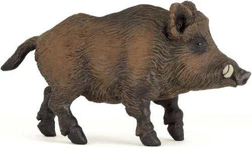 Papo - Figura realista de jabalí para niños - A partir de 3 años - Colección Wild Life - Juego educativo Descubrimiento de animales del bosque -