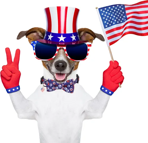Miniatura 3 de ADOGGYGO Collar de perro con bandera estadounidense con corbata de moño desmontable, collares patrióticos ajustables del 4 de julio para perros