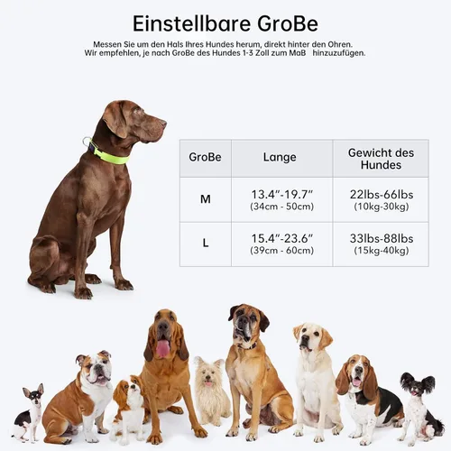 Miniatura 6 de Collar de perro KOSKILL LED - Ajustable, recargable, impermeable, brilla en la oscuridad para perros medianos y grandes Verde