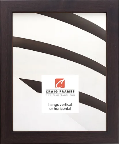Miniatura 7 de Craig Frames Essentials, marco moderno de 1 pulgada, 19 x 25 pulgadas, color negro 646bk Negro