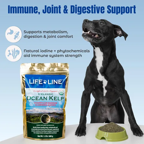 Miniatura 4 de Life Line - Suplemento orgánico de algas oceánicas para perros, gatos, caballos y ganado Fuente natural de yodo para la piel, pelaje brillante